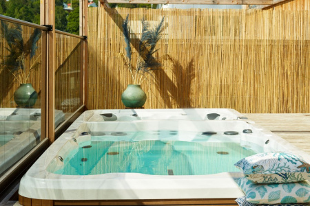 Плавательный спа-бассейн с противотоком Vita Spa Swim Spa VM 8